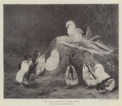 The Stump Orator by Robert Morley